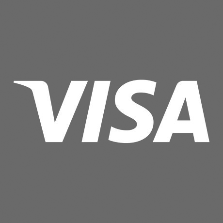 Visa支付